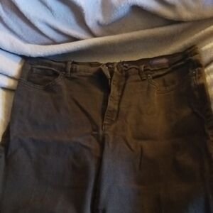 Gloria Vanderbilt Women's Chocolate Straight Leg Jeans